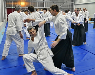 Vidéos aïkido traditionnel 