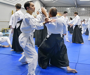 Vidéos aïkido traditionnel 