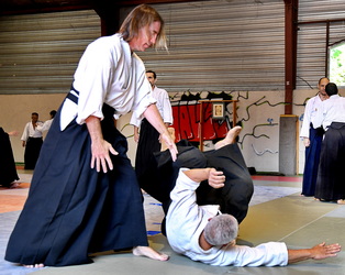 aïkido 40 dojo traditionnel des Landes 