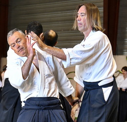 Aïkido stage le calendrier des stage aïkido traditionnel