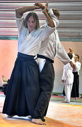 Aïkido stage le calendrier des stage aïkido traditionnel