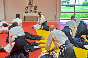 aïkido 40 dojo traditionnel des Landes 