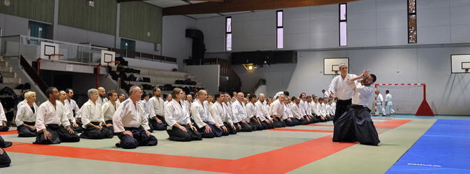 Vidéos aïkido traditionnel 