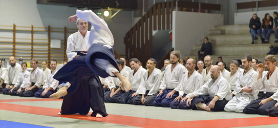 Vidéos aïkido traditionnel 