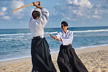 Vidéos aïkido traditionnel 