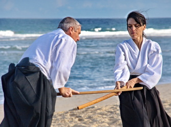 Vidéos aïkido traditionnel 