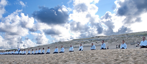 Vidéos aïkido traditionnel 