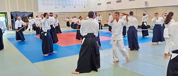  Aïkido Léon et Lesperon cours d'essai, découverte, semaine portes ouvertes