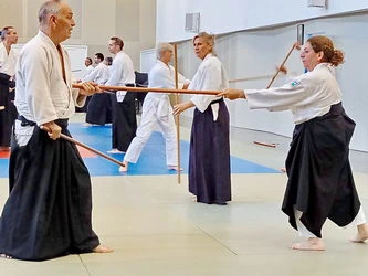  Aïkido Léon et Lesperon cours d'essai, découverte, semaine portes ouvertes