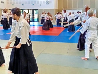  Aïkido Léon et Lesperon cours d'essai, découverte, semaine portes ouvertes